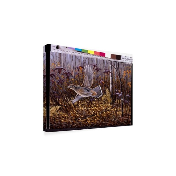 Wilhelm Goebel 'Silver Streak Ruffed Grouse' Canvas Art,35x47